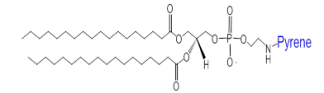 DSPE-Pyrene