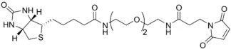 Biotin-dPEG2-Mal