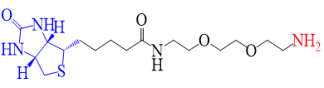 Biotin-PEG2-Amine