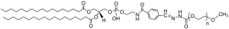 DSPE-Hydrazone-mPEG lipid structure