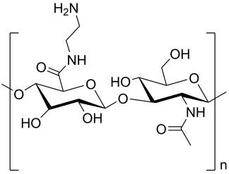 Hyaluronic acid amine
