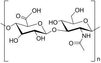 Hyaluronic acid (HA) polysaccharide structure