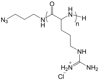 N3-Poly(L-Arginine) polymer structure