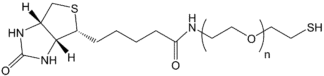 Biotin-PEG-SH structure