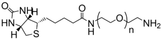 Biotin-PEG-NH2 (BIO-PEG-NH2)