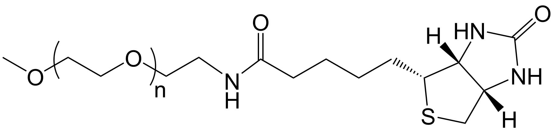 MPEG-Biotin