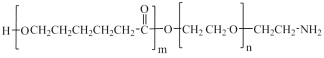 PCL-PEG-NHâ‚‚