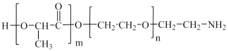 PLLA-PEG-Amine (PLLA-PEG-NH₂)