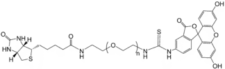 Biotin-PEG-FITC