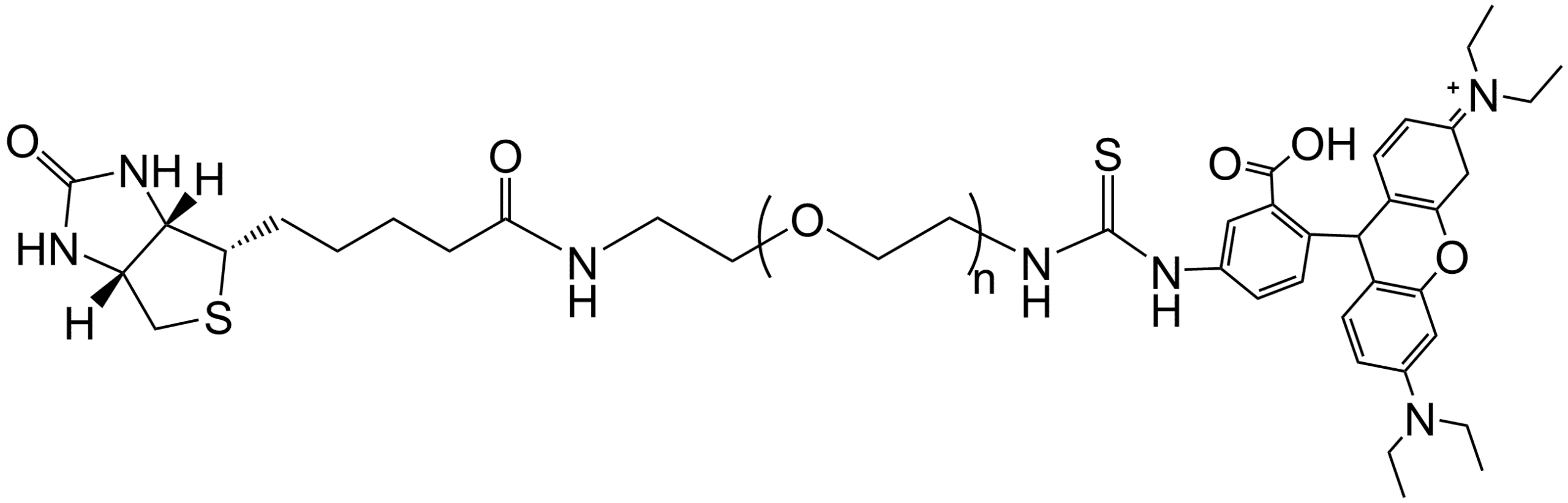 Biotin-PEG-RhB
