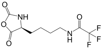 (S)-N-(4-(2,5-Dioxooxazolidin-4-yl)butyl)-2,2,2-trifluoroacetamide (TFA-L-Lys NCA)