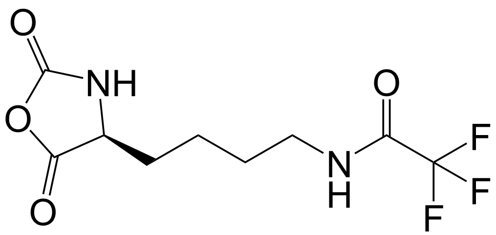 (S)-N-(4-(2,5-Dioxooxazolidin-4-yl)butyl)-2,2,2-trifluoroacetamide (TFA-L-Lys NCA)