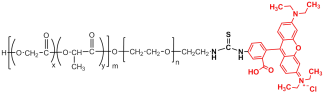 PLGA-PEG-Rhodamine B (PLGA-PEG-RhB)