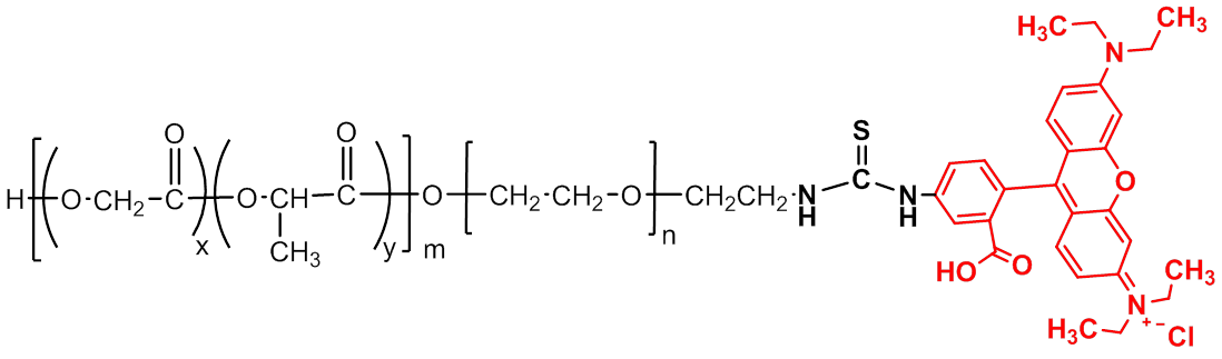 PLGA-PEG-Rhodamine B (PLGA-PEG-RhB)
