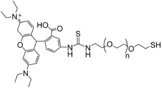 RhB-PEG-SH structure
