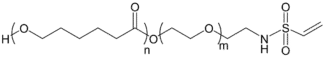 PCL-PEG-Vinyl Sulfone (PCL-PEG-VS)