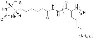 Biotin-PLL