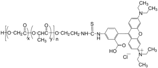 PLGA-RhB