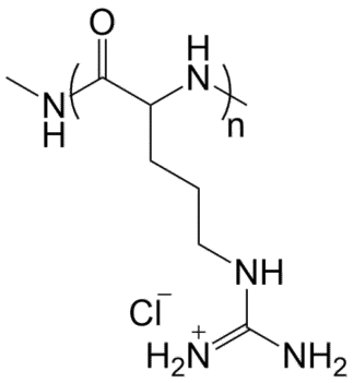 Poly(L-Arginine)/poly(L-Arg)