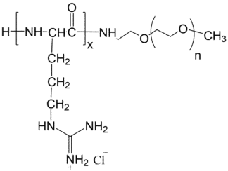 Poly(L-Arginine)-mPEG structure