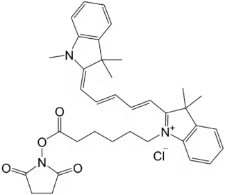 Cy5-NHS Ester