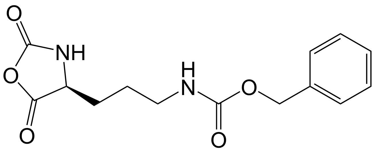 Orn-NCA