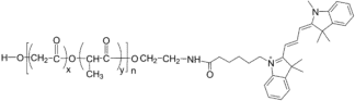 PLGA-Cy3