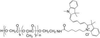 PLGA-Cy5