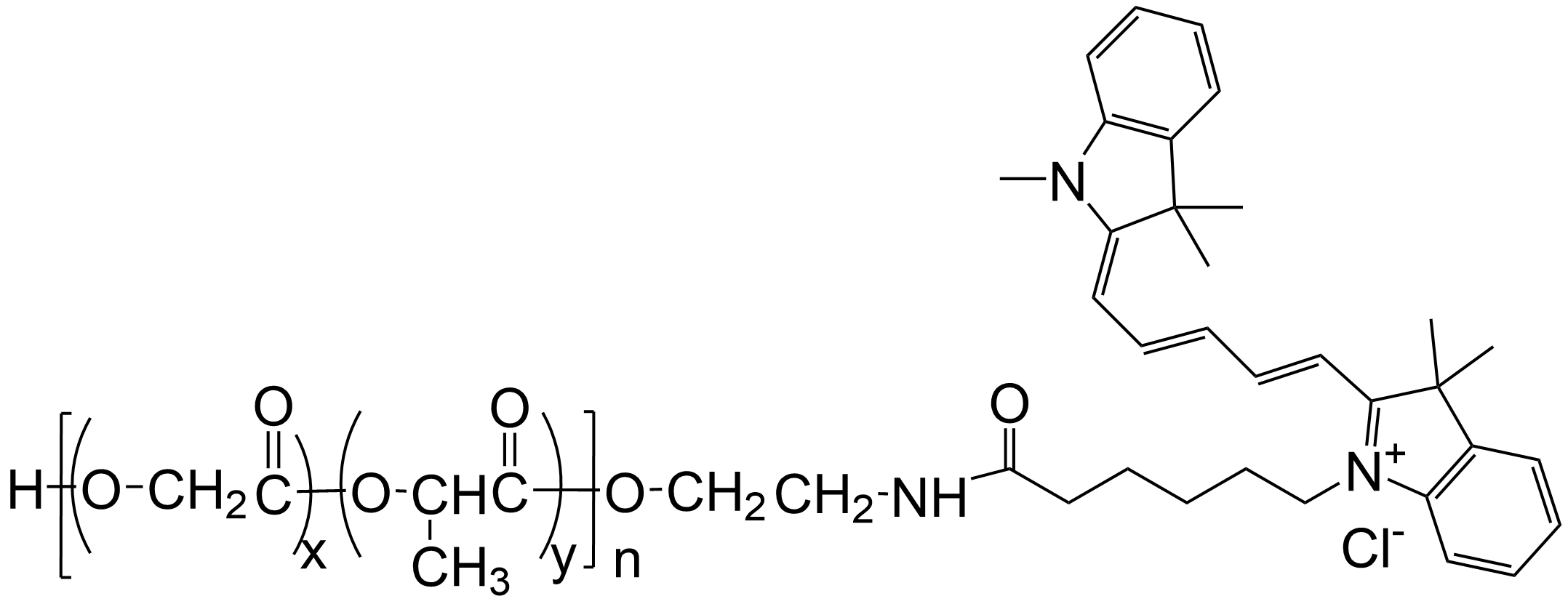 PLGA-Cy5